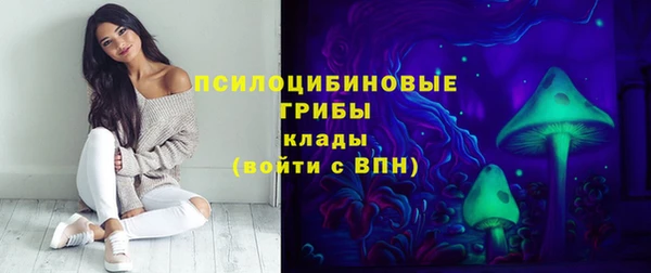 a pvp Алексеевка