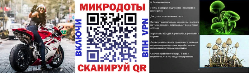 Псилоцибиновые грибы Psilocybe цены наркотик Кореновск